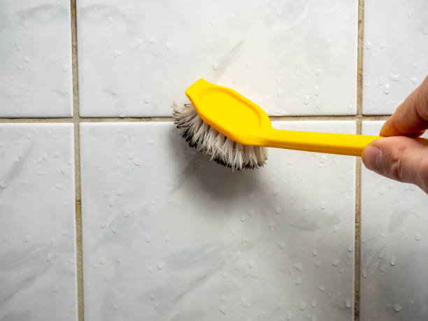 Best Home Mold Removal  in Ringgold, GA